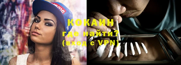 соль ск Абаза