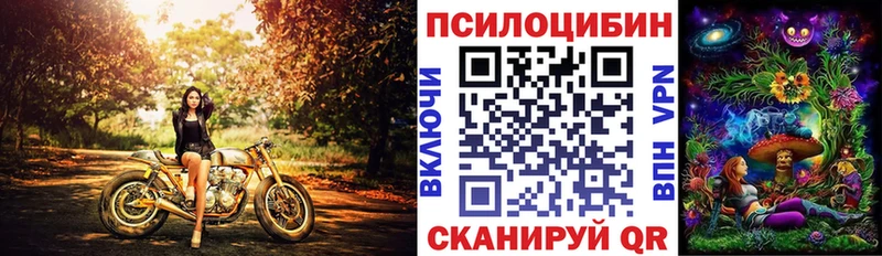 Псилоцибиновые грибы мицелий  где купить наркоту  Рассказово 