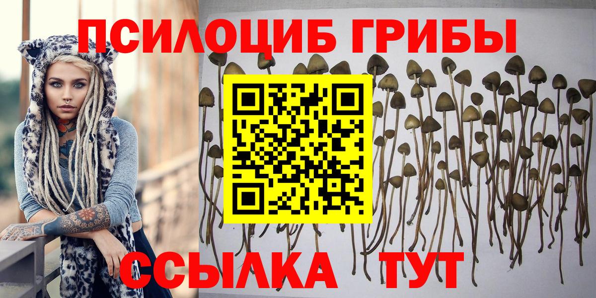 Галлюциногенные грибы Cubensis  Галлюциногенные грибы Psilocybine cubensis  Рассказово  Вход с VPN 