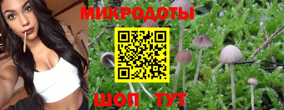Псилоцибиновые грибы ЛСД Рассказово